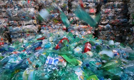 Veolia : le recyclage des plastiques quintuplera prochainement
